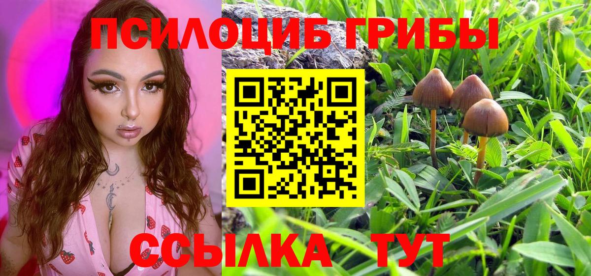 Псилоцибиновые грибы мицелий Соликамск