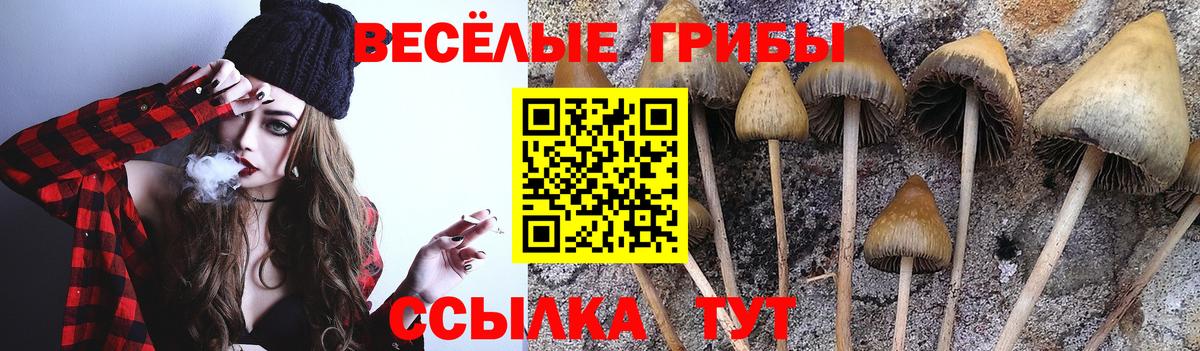 Псилоцибиновые грибы мухоморы  Галлюциногенные грибы Magic Shrooms  Соликамск  Вход с VPN 